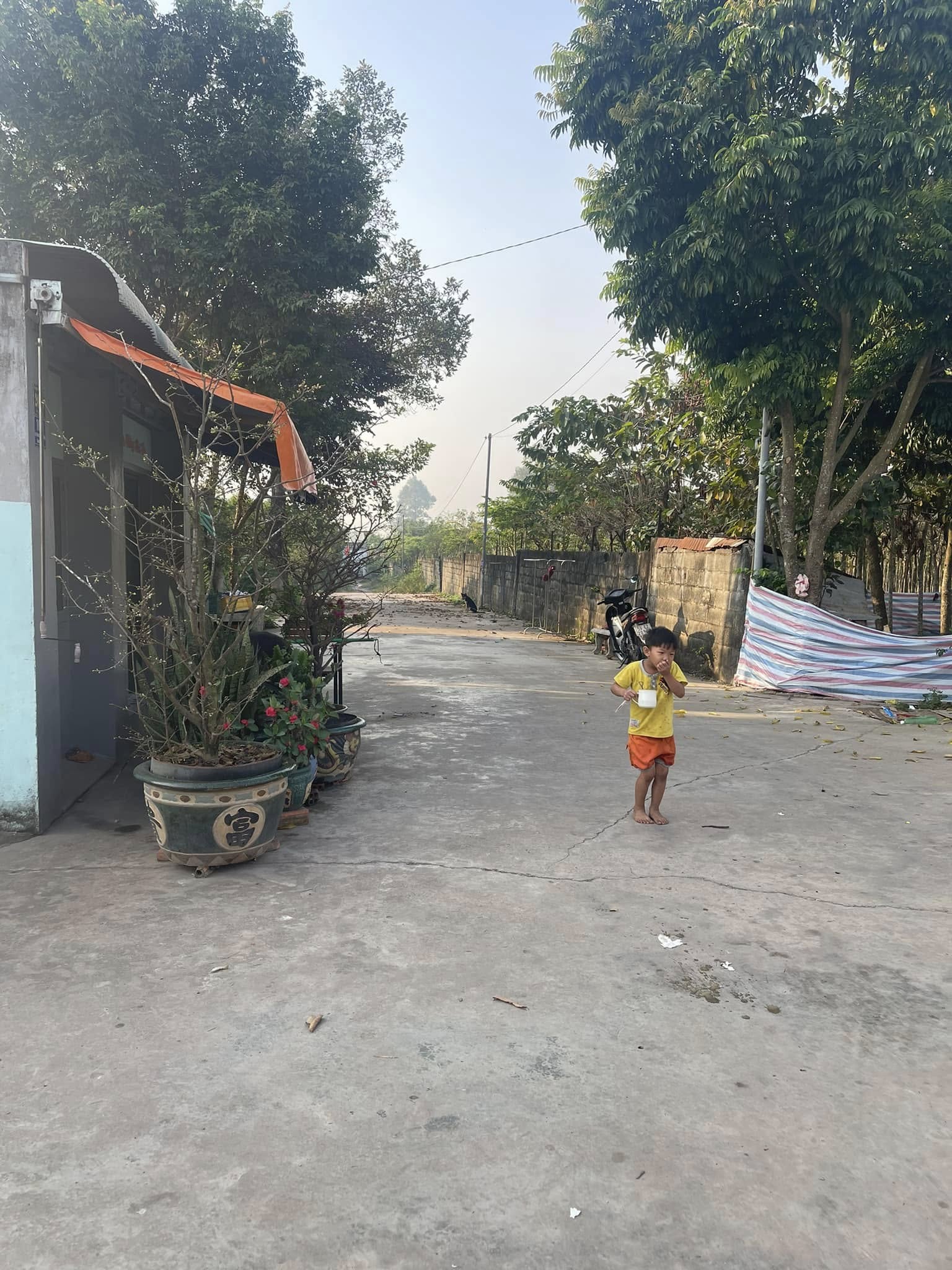 Bán gấp đất thổ cư 82m² cách mặt tiền Đại lộ Đông Tây 50m giá chỉ 950 triệu - Ảnh 1